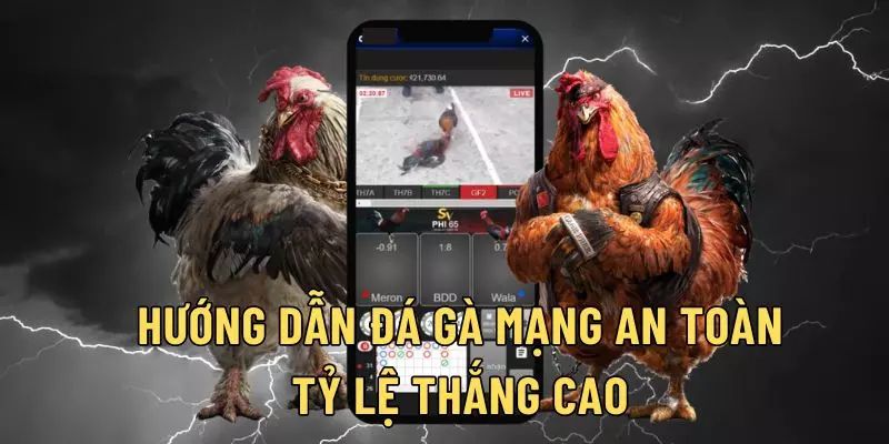 Kinh nghiệm cược chiến kê online tại KUBET