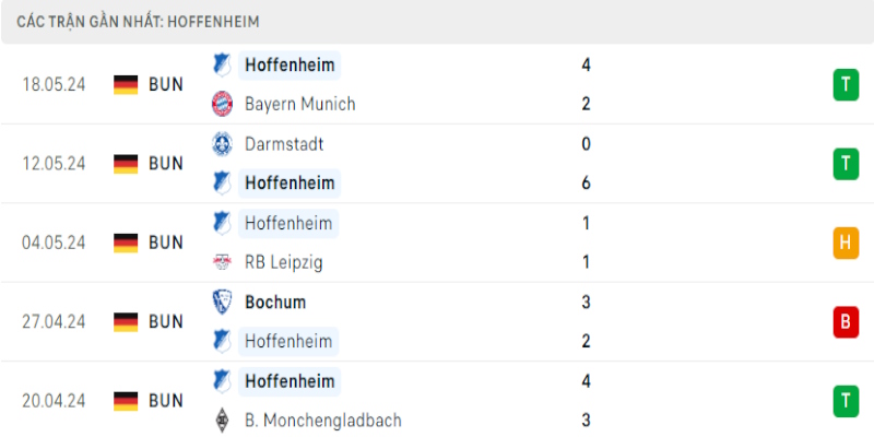 Thành tích mới nhất của Hoffenheim