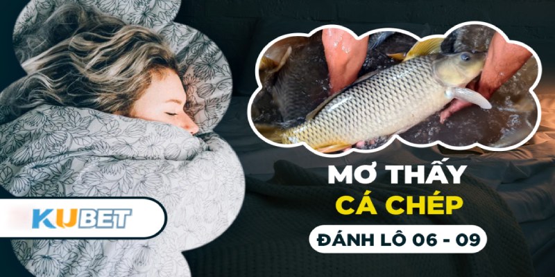 Thấy các chép trong mơ