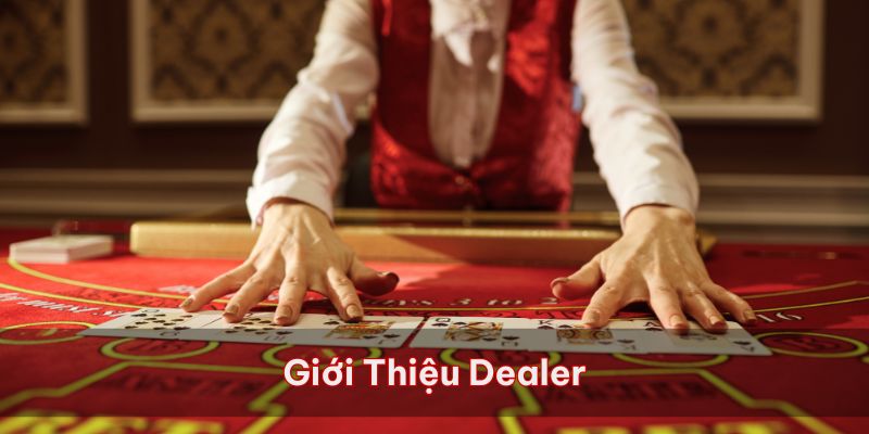 Giới thiệu đôi nét về Dealer trên thị trường hiện nay